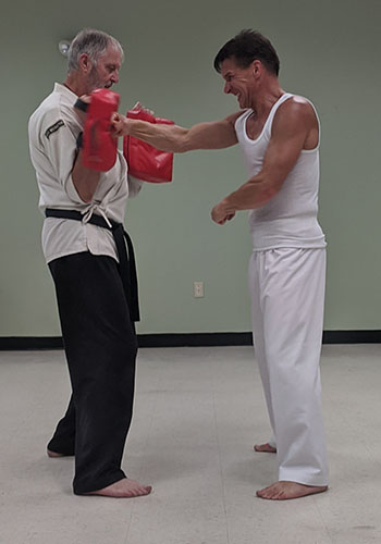 Adult Karate Image 1